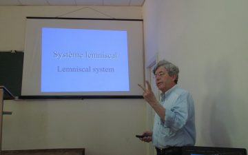Французька весна в університеті