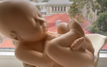 Навчальний процес в симуляційному класі (практичні навички, кафедра акушерства та гінекології)