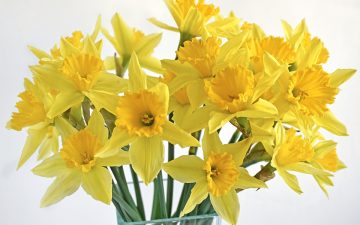 Вітаємо з Днем народження Гаріну Наталію Вікторовну!