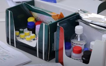 Activities of the educational and production laboratory of molecular pathology of ONMedU