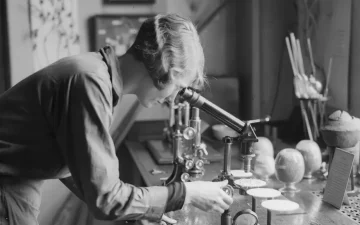 11 лютого — Міжнародний день жінок і дівчат у науці