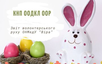 Волонтерство як прояв професійної відповідальності: візит до дитячого психіатричного відділення